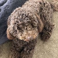 TikTok Account - jaywtfyoudoin