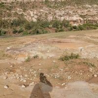 TikTok Creator - seketethakanyane