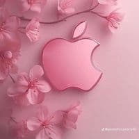 TikTok Account - neeks_slimmazz