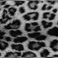 TikTok Account - nevrendinn