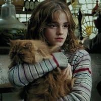 TikTok Account - luckyseven1111