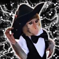 TikTok Account - zalexi32