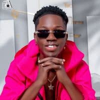 TikTok Account - rosabrinquedooficial