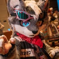 TikTok Account - zer0wolforez