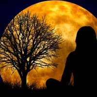 TikTok Account - amada_luna.14