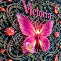 TikTok Account - aiva.damoski