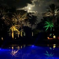 TikTok Account - roa_discus