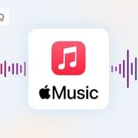TikTok Account - applemusiclyrics24