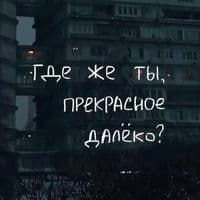 TikTok Account - ichneum