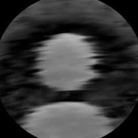 TikTok Account - lyricssajtr