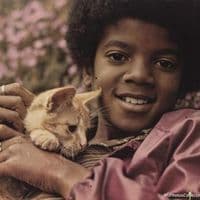 TikTok Account - jx13e