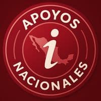 TikTok Account - apoyosnacionales