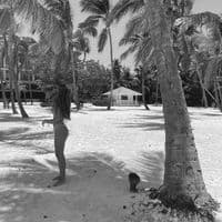 TikTok Account - _martacalleja