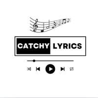 TikTok Account - catchylyrics.com
