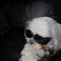 TikTok Account - buuuuuuww.w