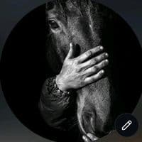 TikTok Account - _kannatysozder