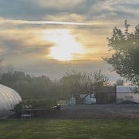 TikTok Account - pablocarbajal63