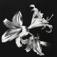 TikTok Account - kamiyahdances