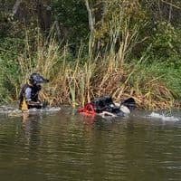 TikTok Account - autodanielius