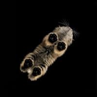 TikTok Account - musicspotys