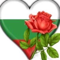 TikTok Account - alina31540