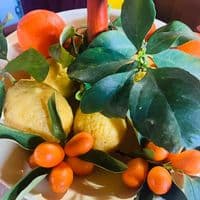 TikTok Account - angelo.florio