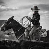 TikTok Account - equestrian_ed1tzz