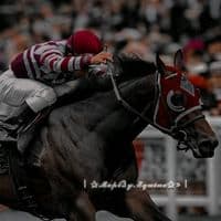 TikTok Account - mxlp.equine