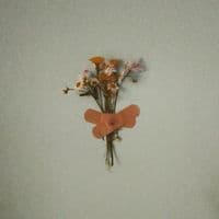 TikTok Account - afg..252