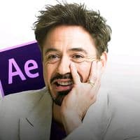 TikTok Account - bumblebee.aep