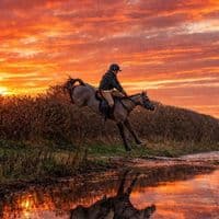 TikTok Account - ob..x13