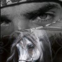 TikTok Account - tonibninurl