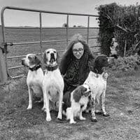 TikTok Account - gundogs_