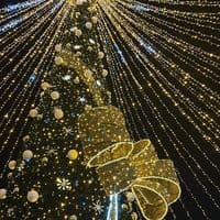 TikTok Account - tchktaa