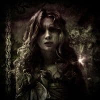 TikTok Account - darxmoon