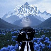 TikTok Account - islamicquranquotes