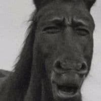 TikTok Account - johanmoralex