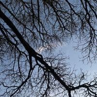 TikTok Account - .indsupersecret