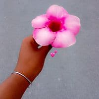 TikTok Account - sofialovealie