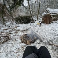 TikTok Account - baseforsummerofficial