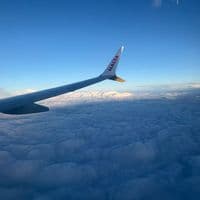 TikTok Account - salvo_fratto