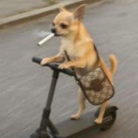 TikTok Account - richemy1.btc