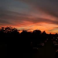 TikTok Account - real__music01