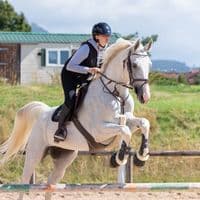 TikTok Account - anaisthomas