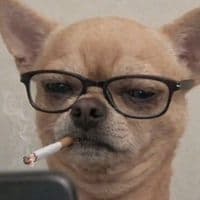 TikTok Account - guapo_pitie