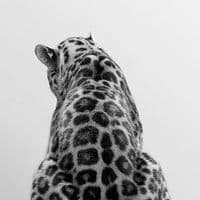 TikTok Account - chiara.mntt