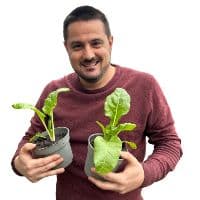 TikTok Account - lepotagerdepatrick