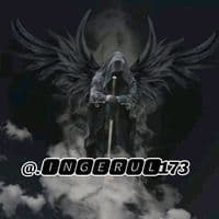 TikTok Account - .ingerul173