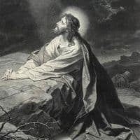 TikTok Account - mosemmel0