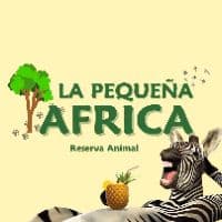 TikTok Account - pequenaafrica